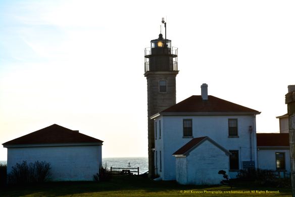 Lighthouse Beavertail 12
